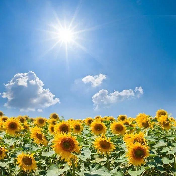 太原市永兴旺搬家有限公司