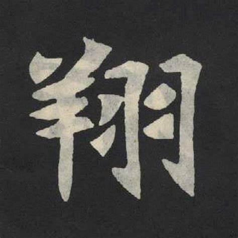 洪梅诚泰运营号