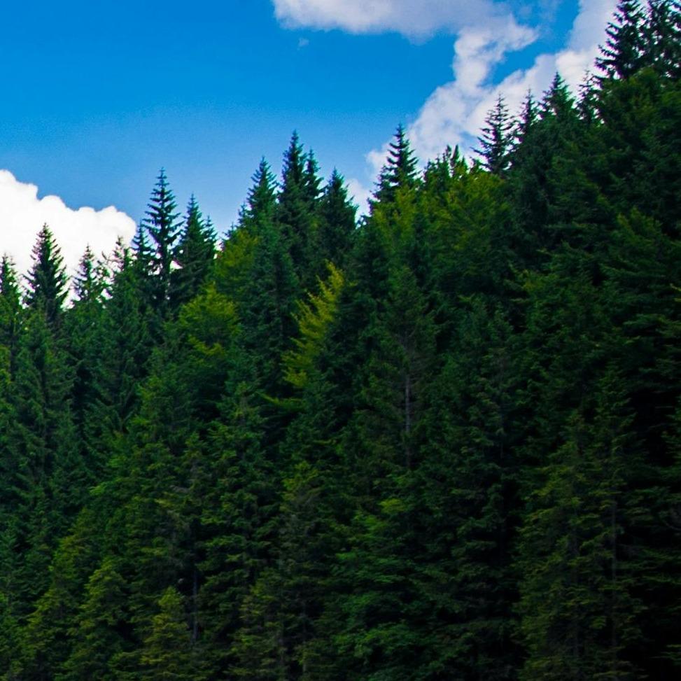 梦动笑哈哈哈直播号