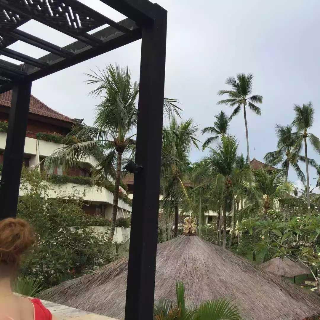 慕臣便利店的游直播号