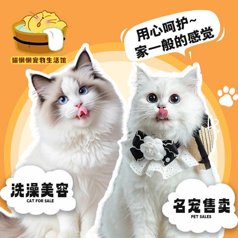 猫懒懒宠物生活馆官方号