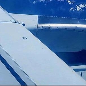 洋诚嘉莱直播号