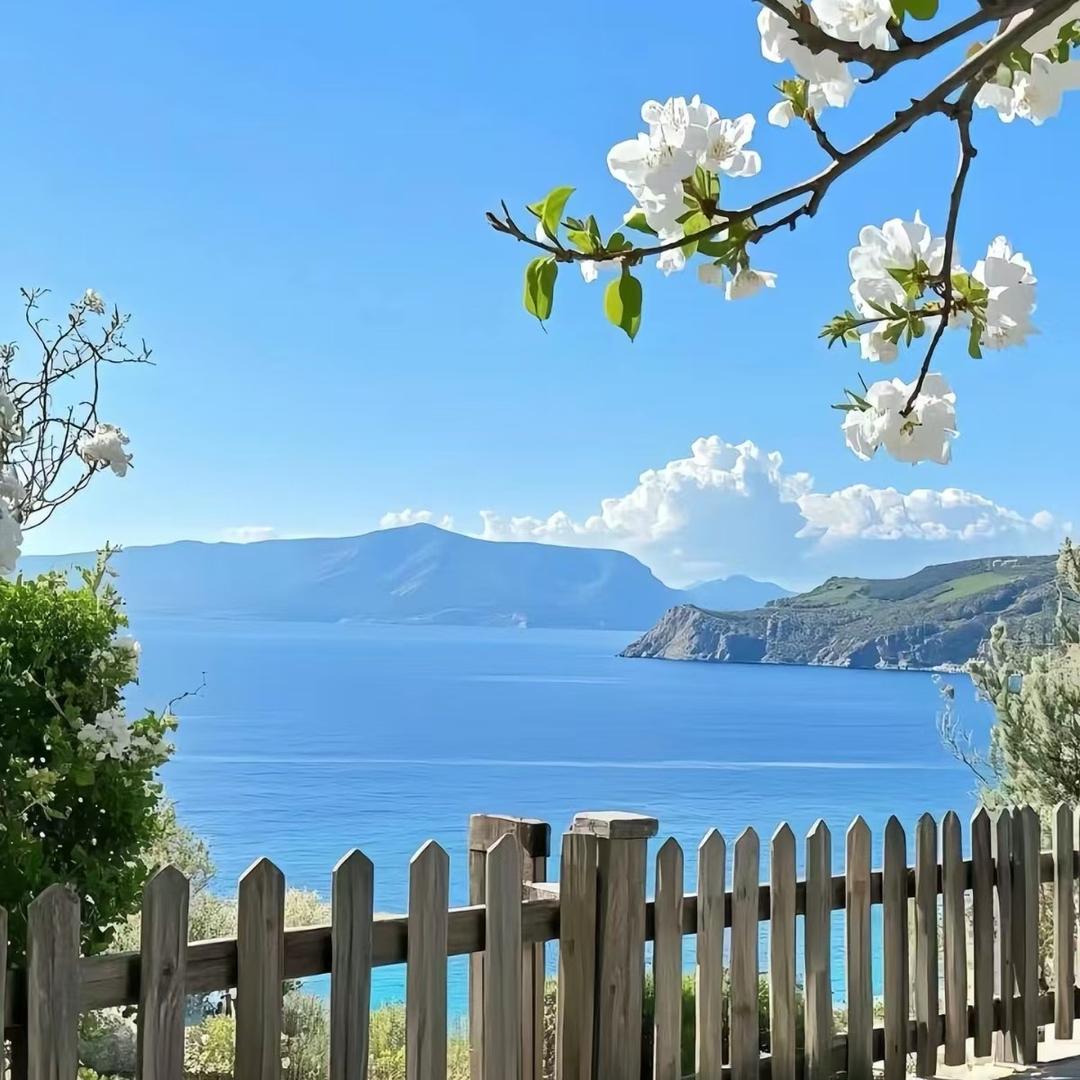 老孙（只和zuo）供应链