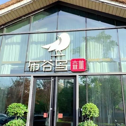 布谷鸟.森林空间.非洲风味餐厅