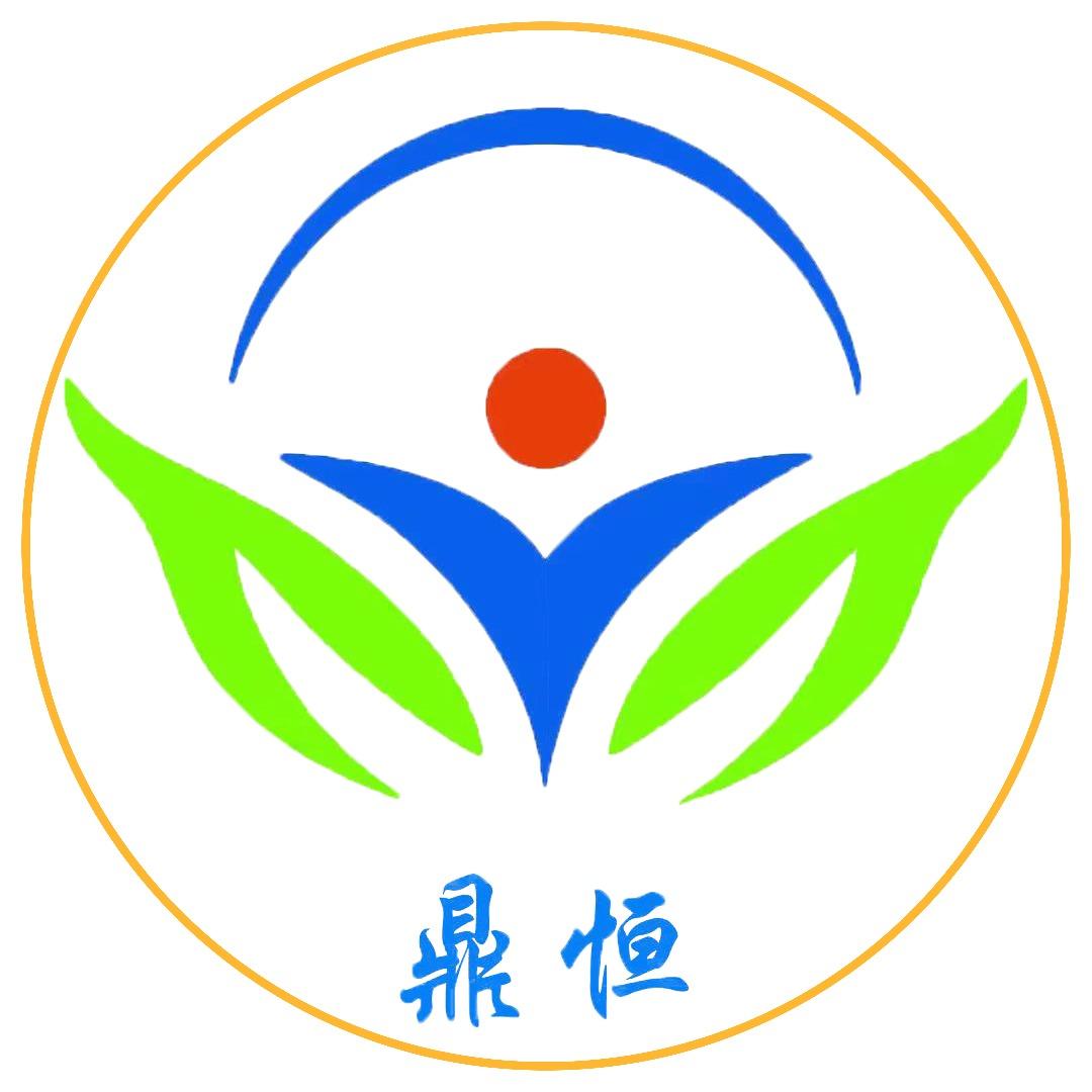 重庆鼎恒职业培训学校