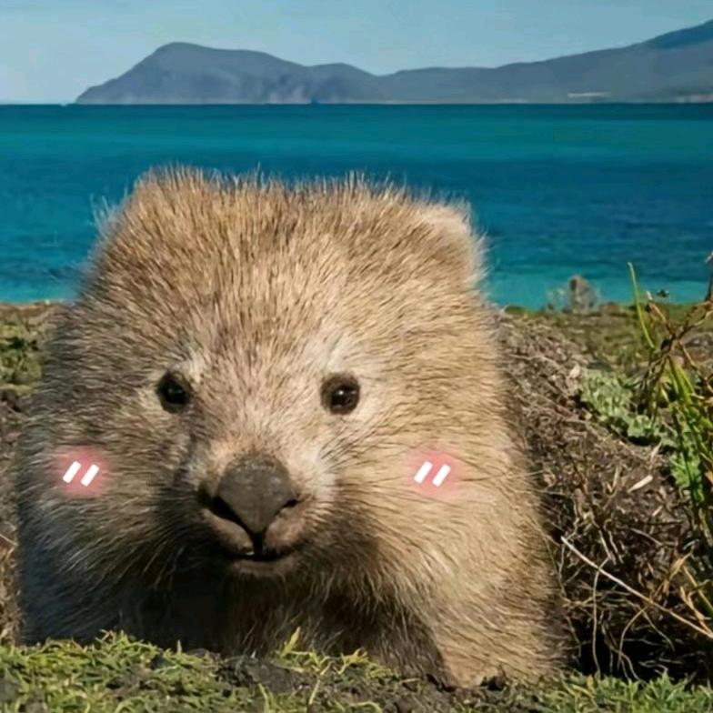 旺旺箱包-拉杆箱修理