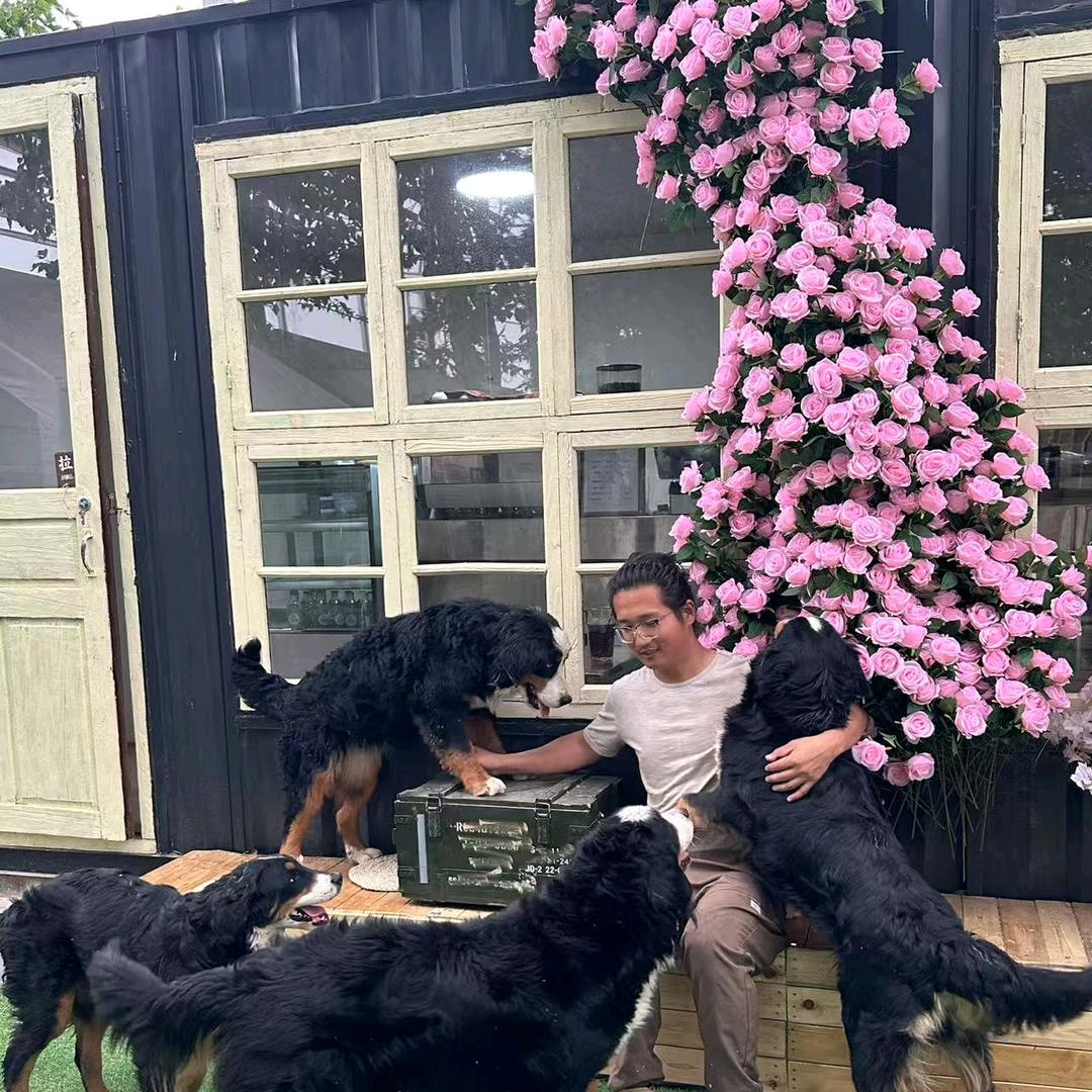 正定县犬爱伯恩山咖啡馆