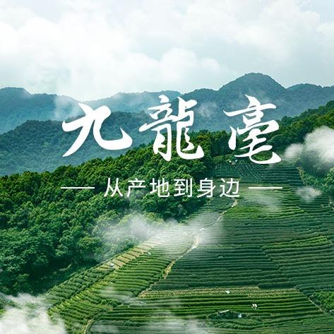 九龙毫茶业(莲花路店)官方号