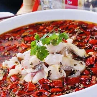 曹杨来凤鱼官方号