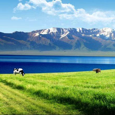 梦思君超市俺看真没走直播号