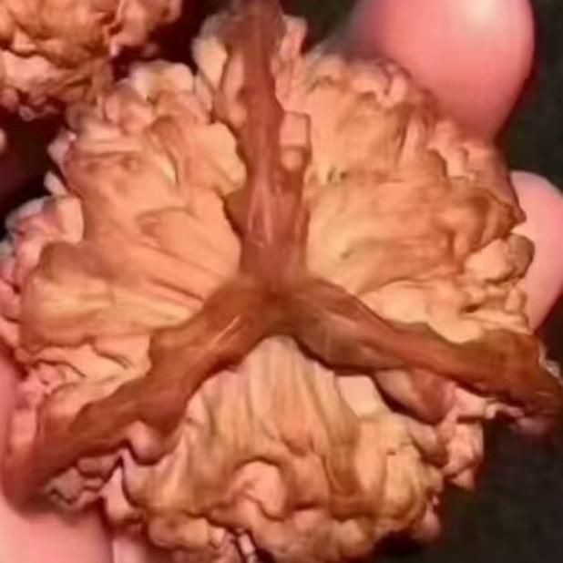 头时商贸门店核对号