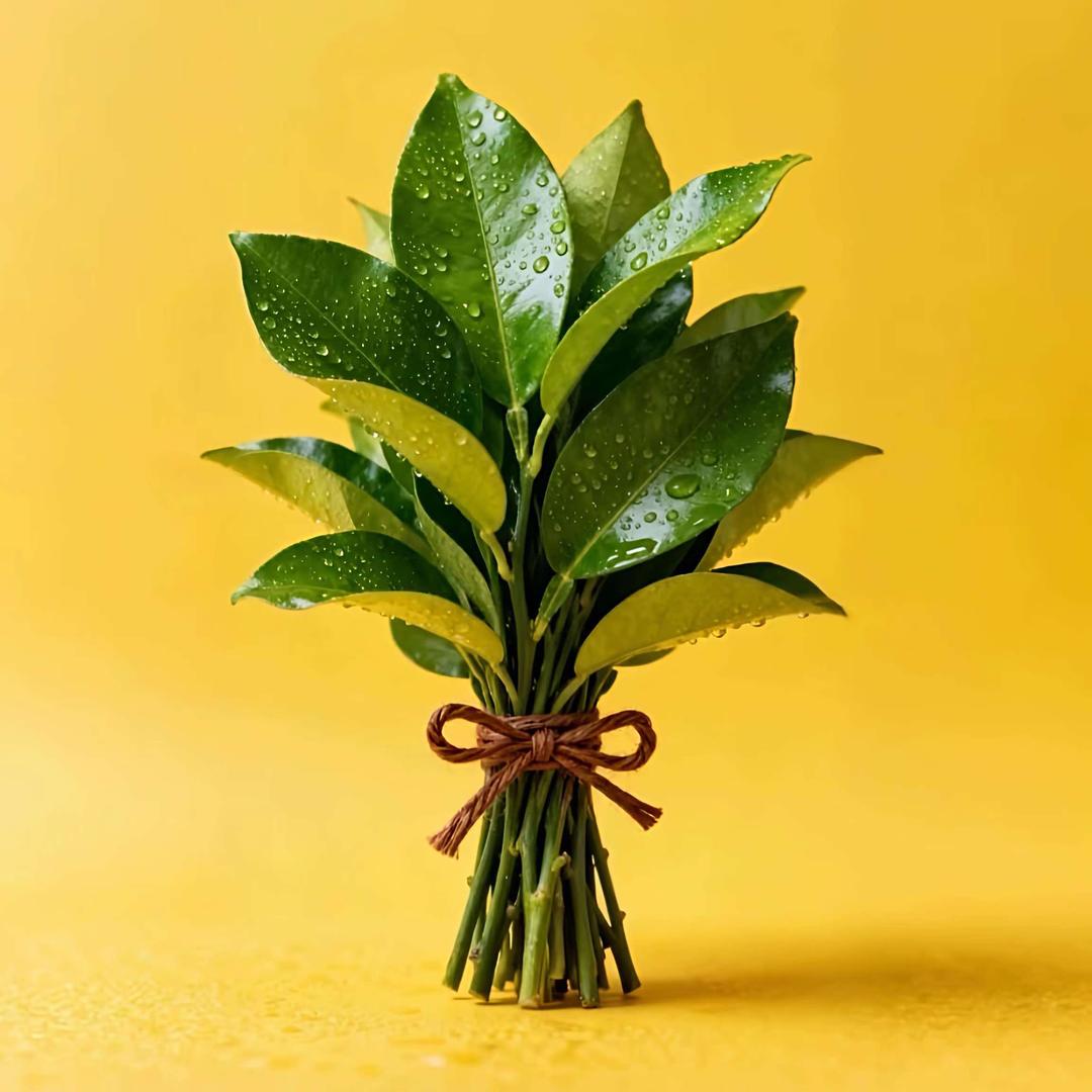 牛莲宴·重庆老火锅自助（安庆方圆荟店）