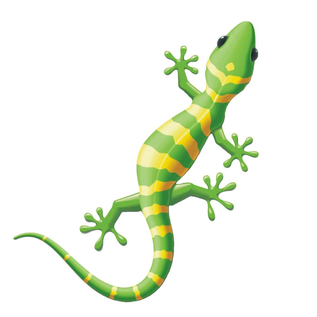 壁虎慢咖台球俱乐部(黄龙店)专用号