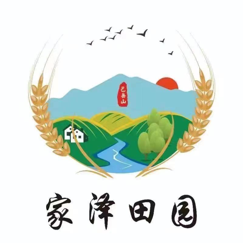 家泽田园
