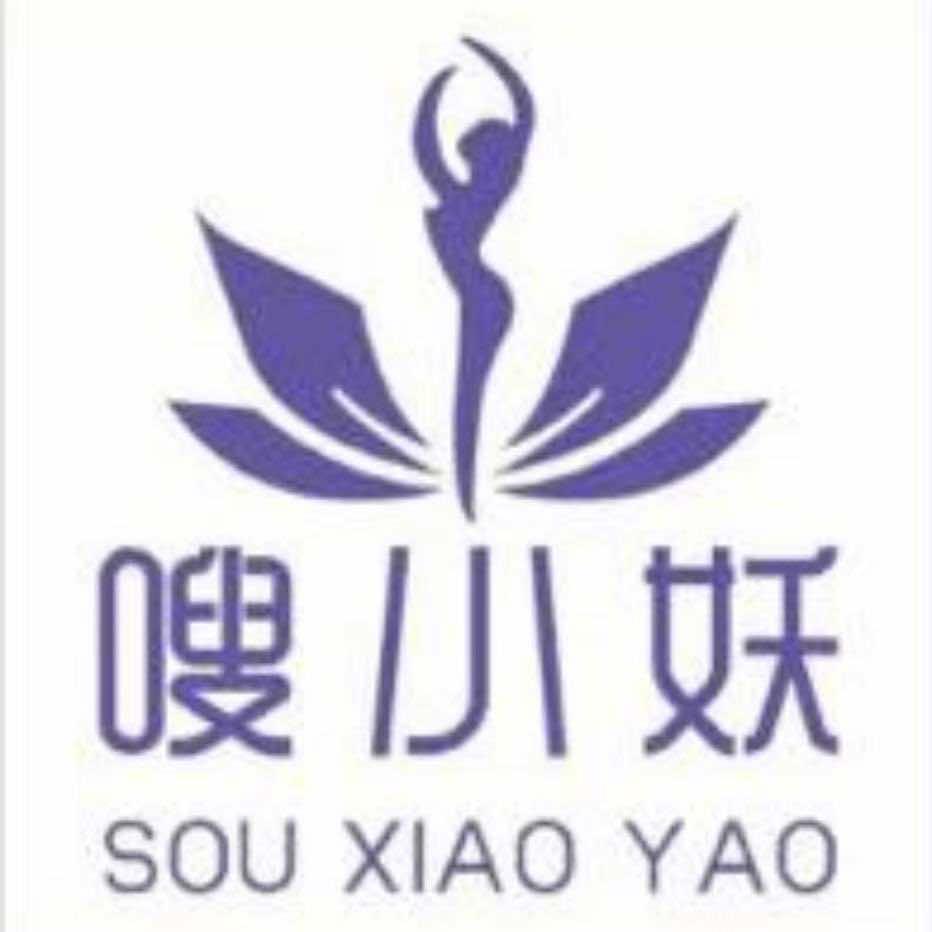 嗖小妖养生减肥美容经五路二街(孙庄店)
