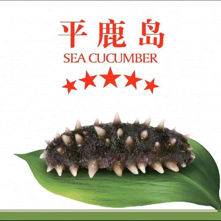 平鹿岛海参直播专用号