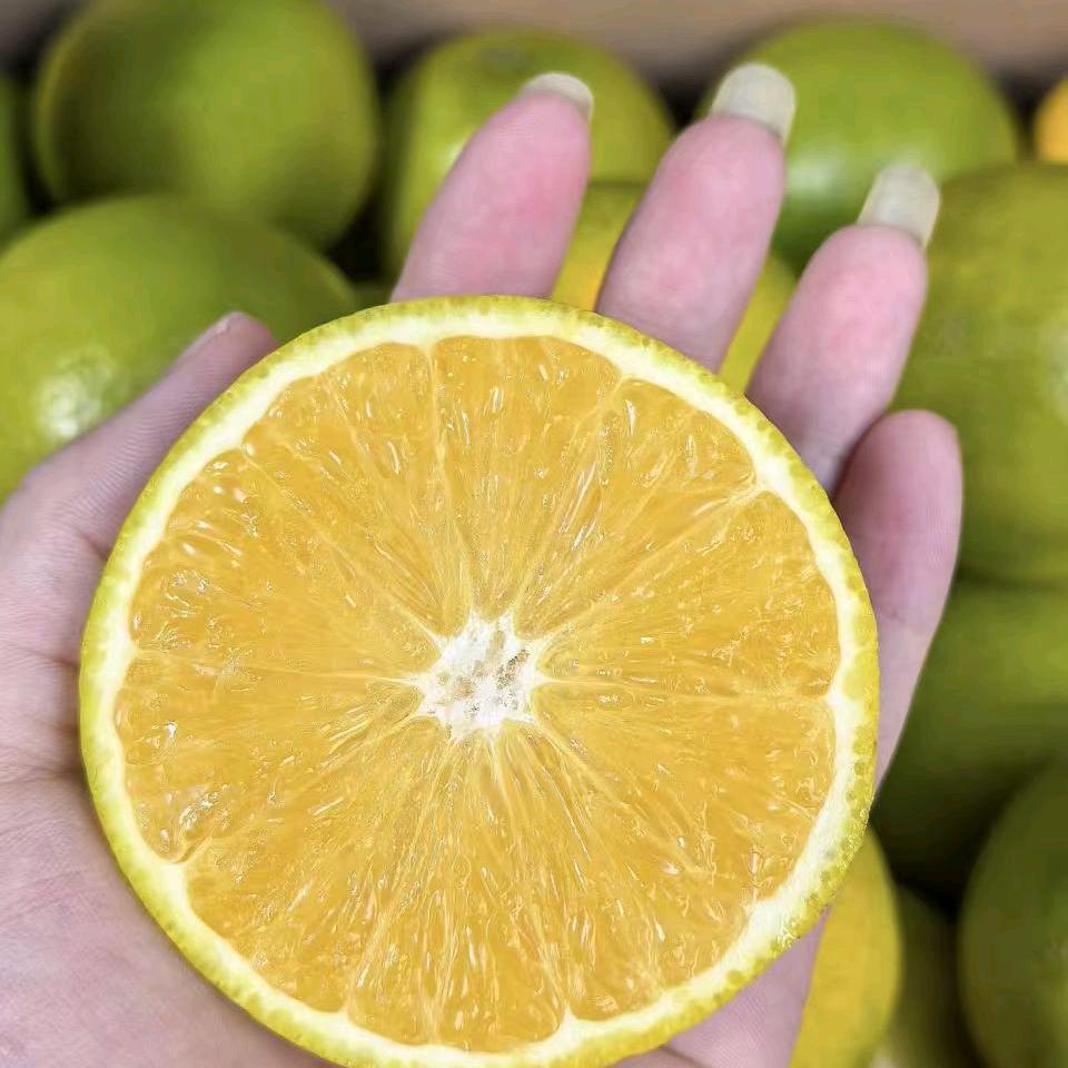 灿芒小苹果鲜果专用号