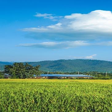 家家乐冬冬运营号