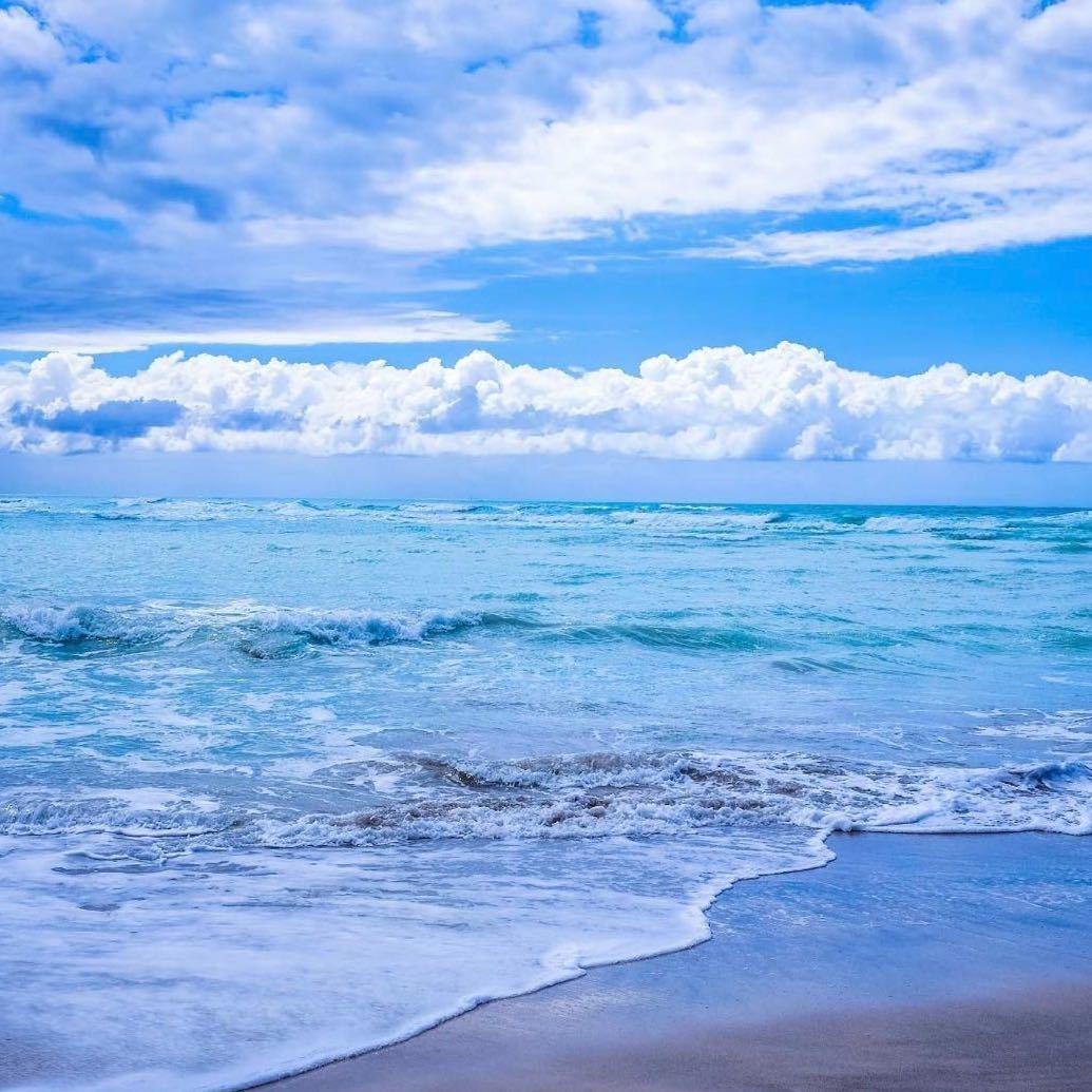 菏泽市定陶区渝尚来餐饮服务店