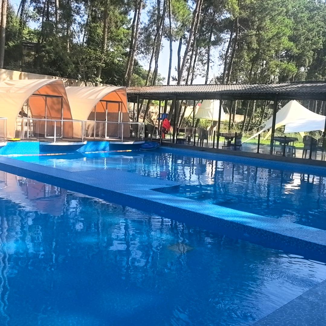 城南院子官方号