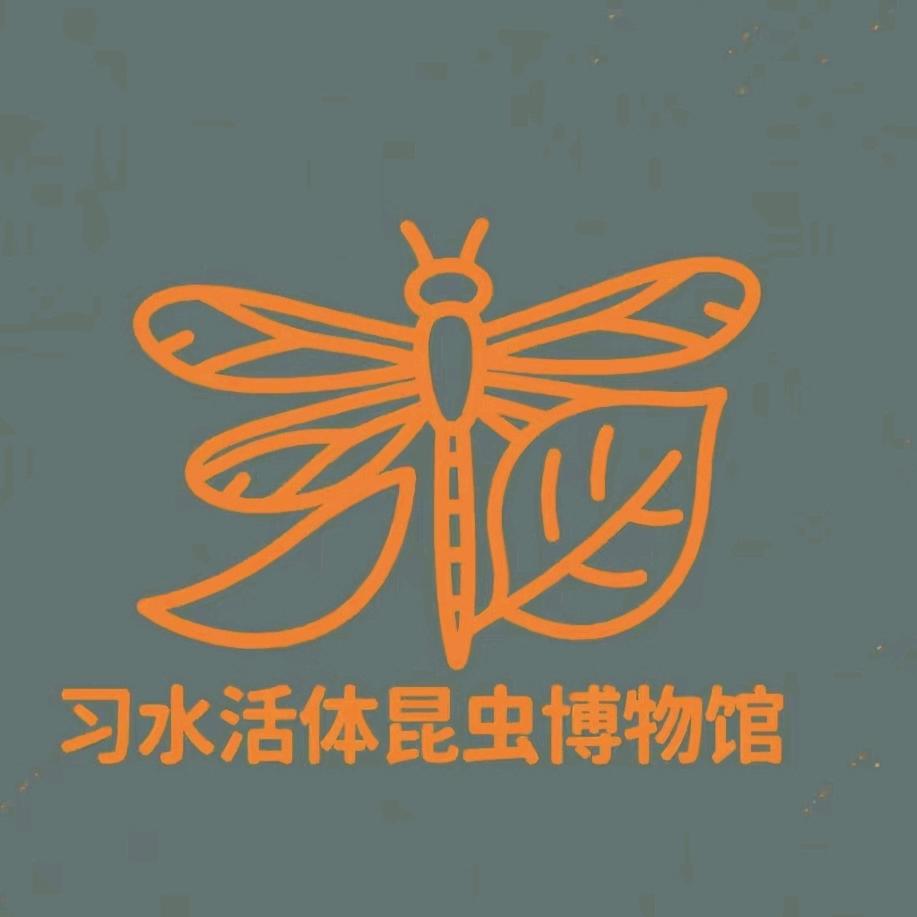 习水活体昆虫科普展官方号