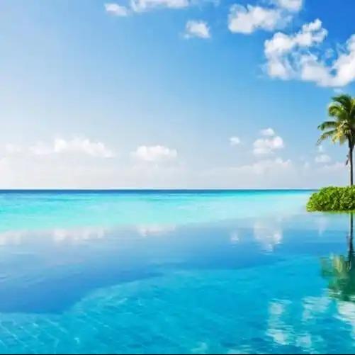 梓圣贸易味道直播号