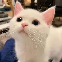 湖南街三好街