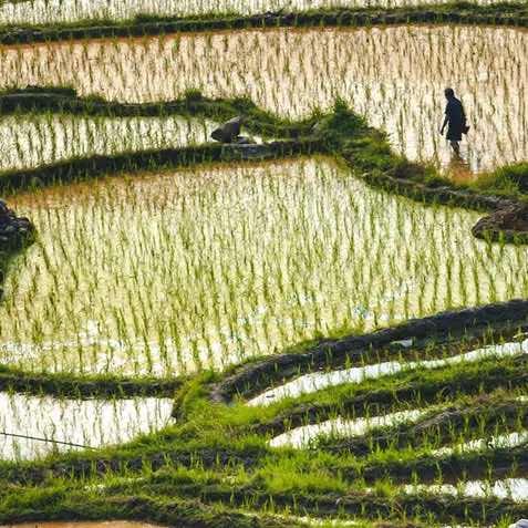 五谷丰登直播间