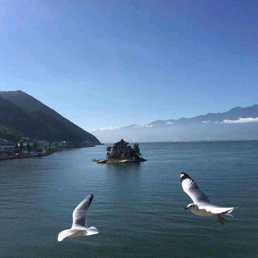 老院子干锅鸭香辣虾官方号