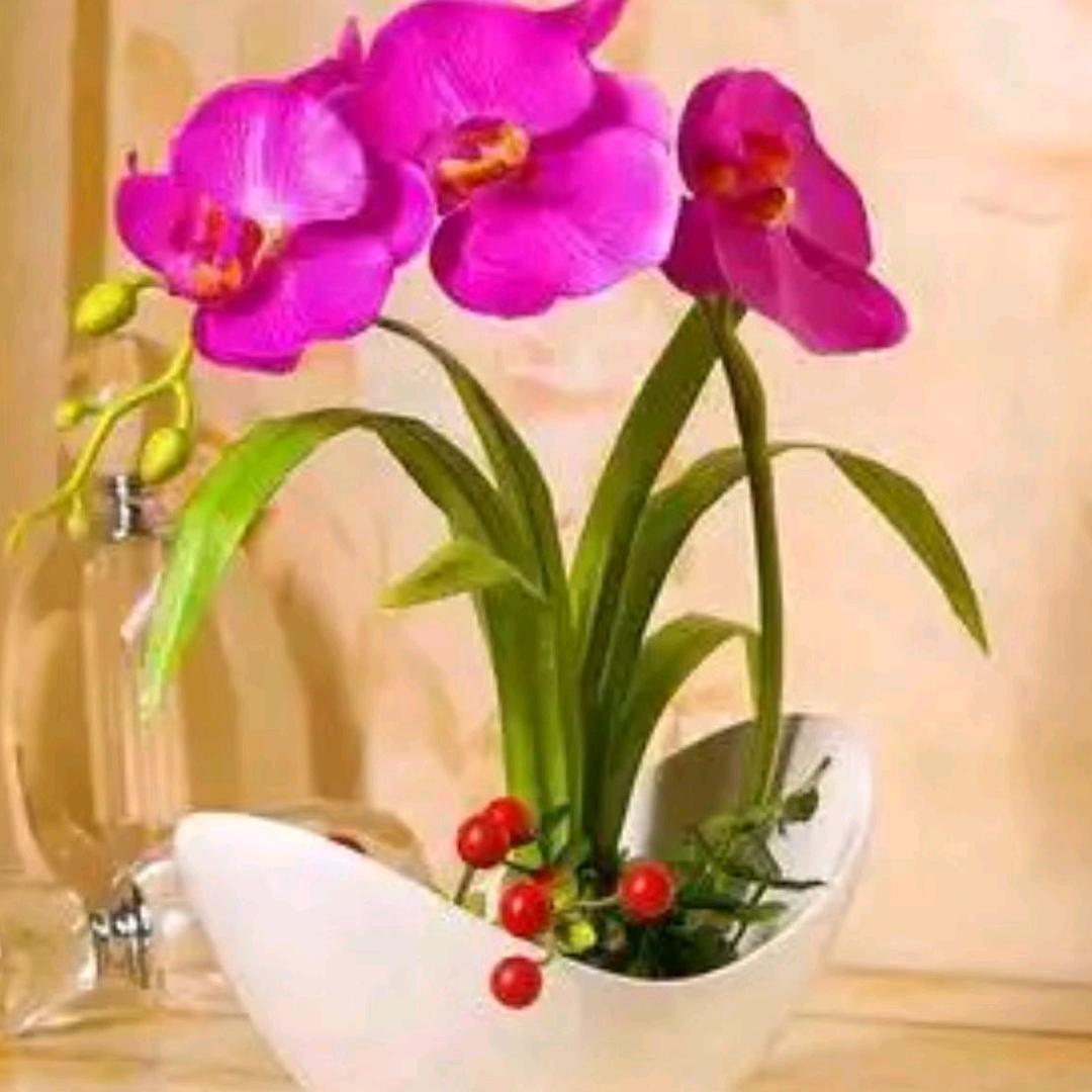 塑吧（盐城城北店）