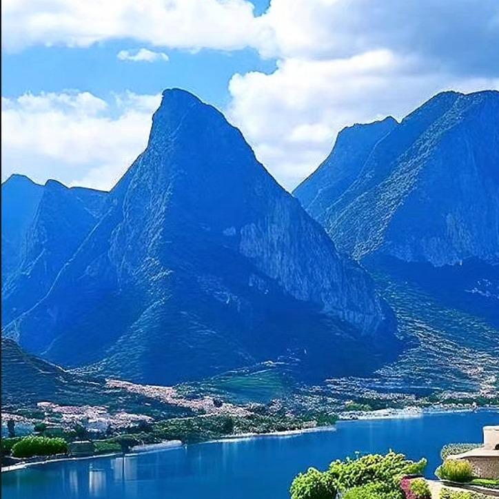 梦动刚好得直播号