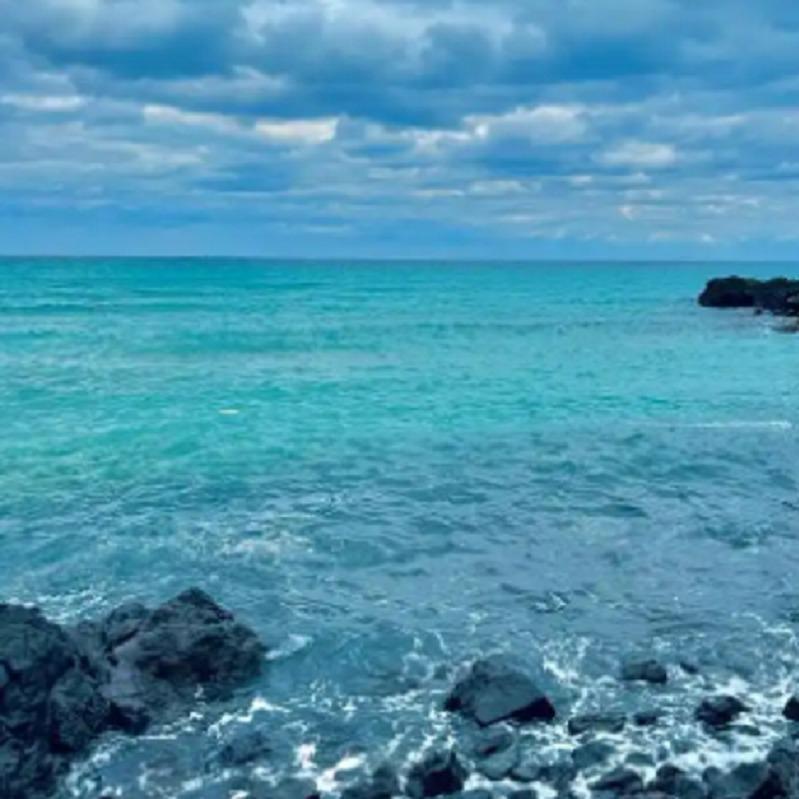 广州天美一直播号