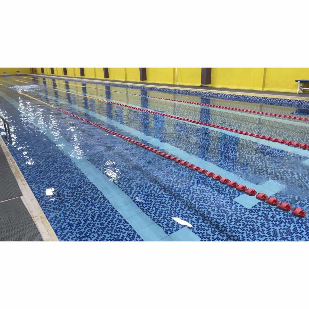 大猫体育宠粉号