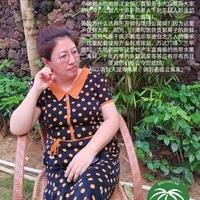海南东方姜姐旅租