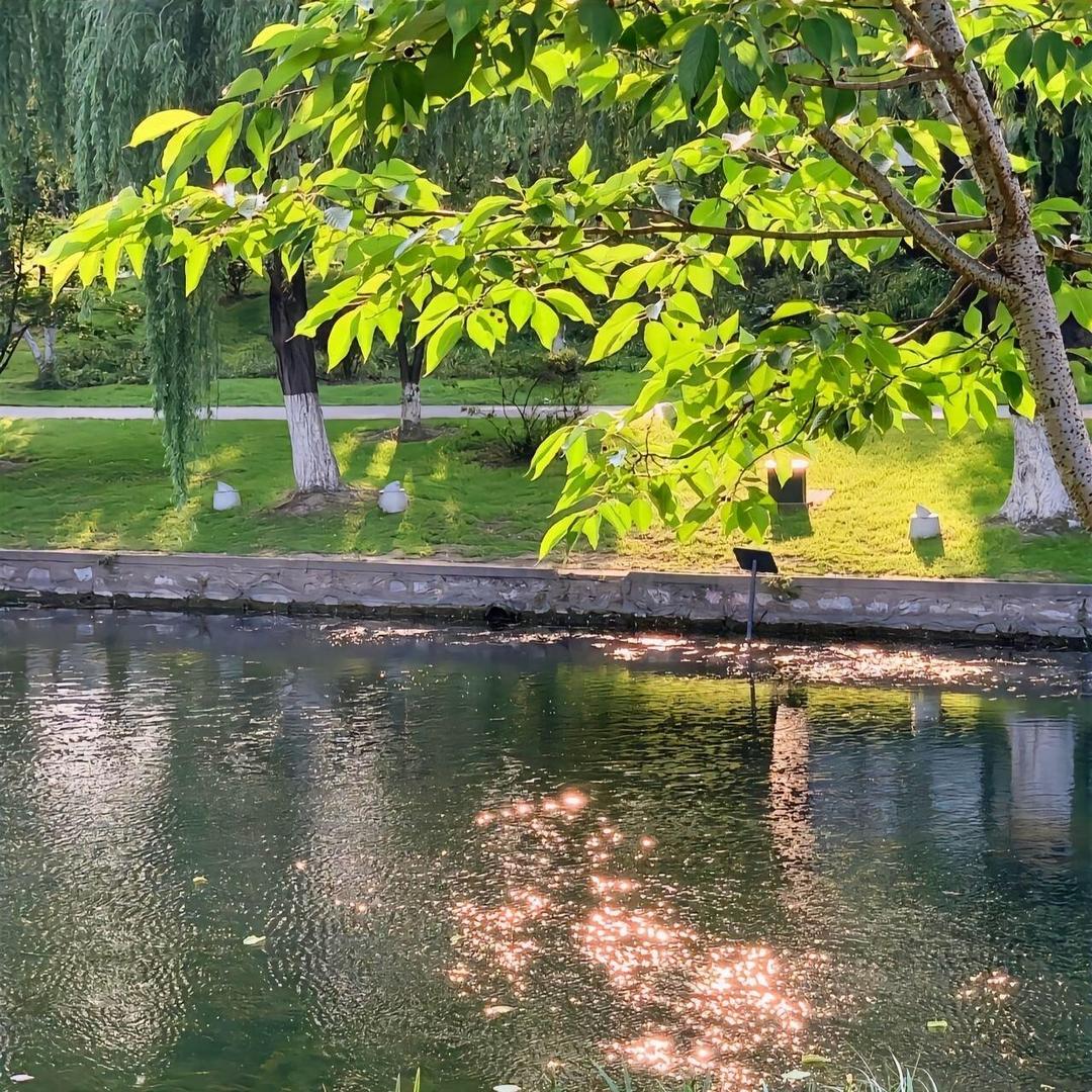 禾爱冒哈经营号