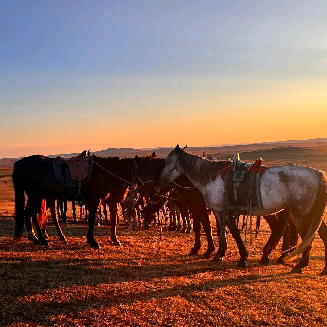 南京瑞林马术俱乐部