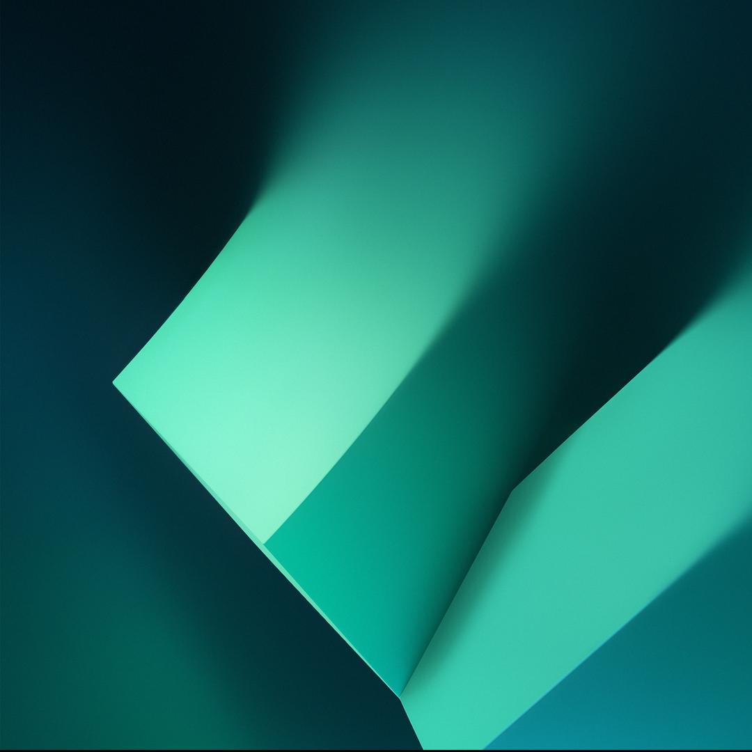 春夏秋冬八直播号