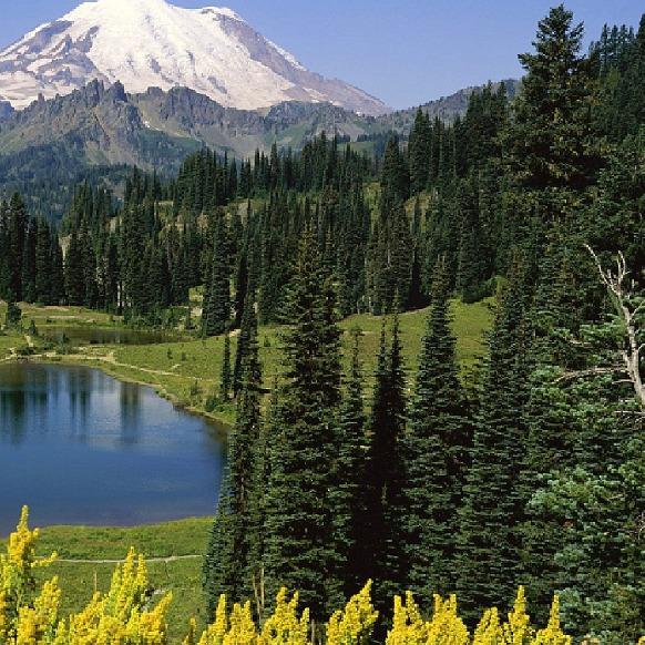 好又惠连锁便利店好又惠超市直播号