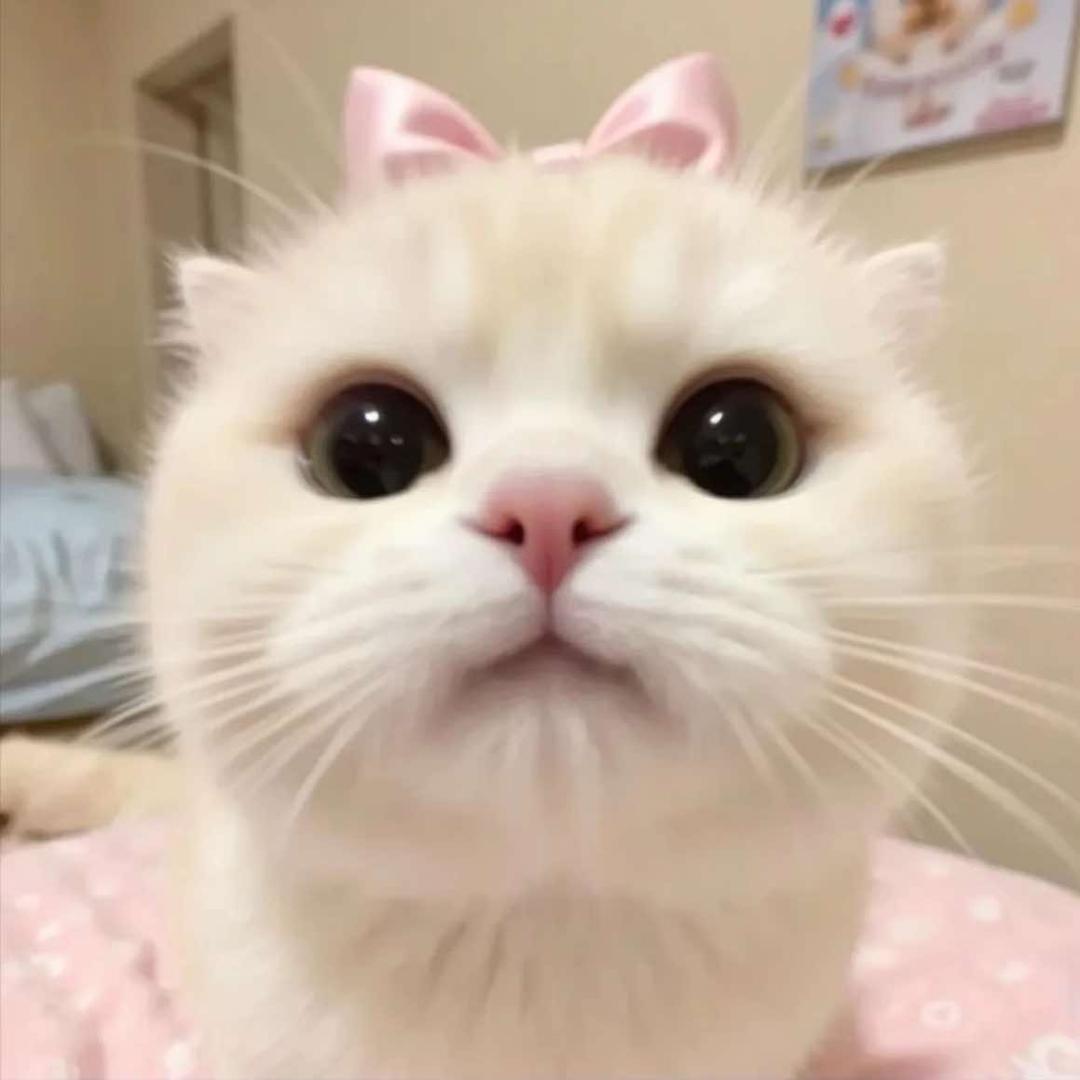 梦之录·汉服租赁·摄影跟拍·妆造馆
