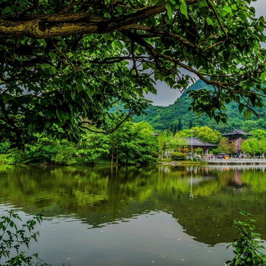 力创控股发直播号