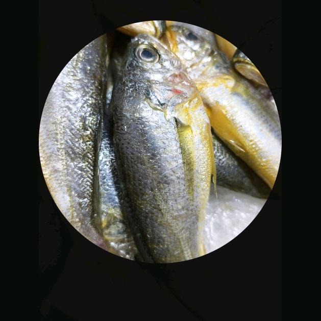 枝坦令百货商行海鲜市场