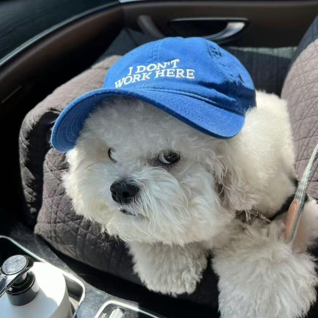 客服阿飞（回关看款）碧英迅