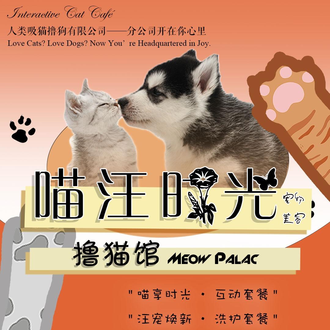喵旺时光宠物美容撸猫馆