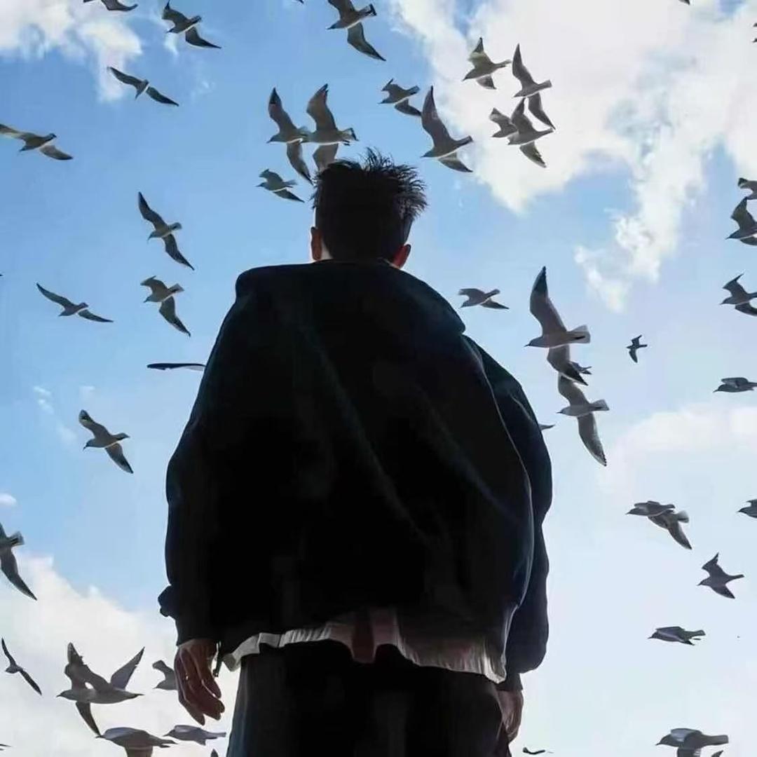 广西誉羽bty直播号