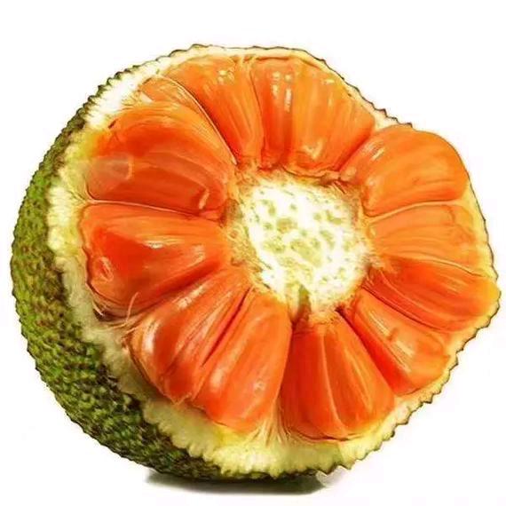 珍选水果-荔枝季