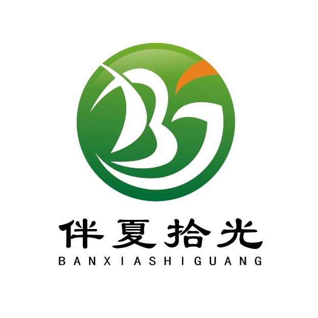 武汉伴夏拾光雪糕批发