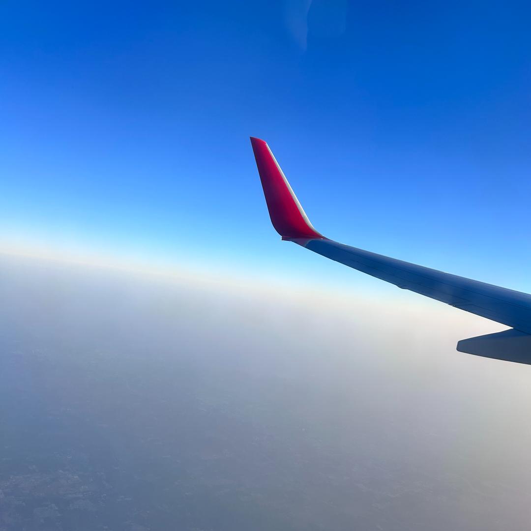 弘岚堂 茹茹-宠粉号