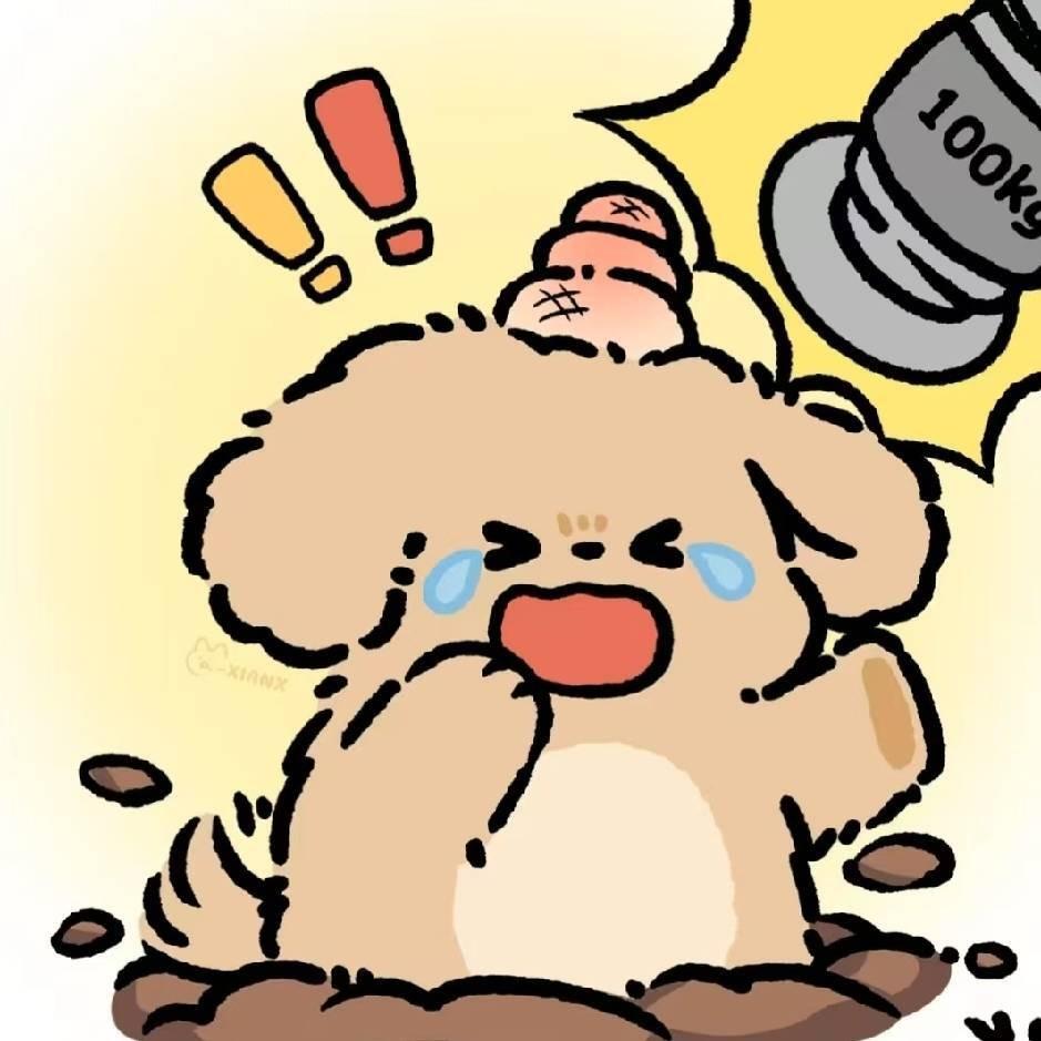 拉都拉了1直播号