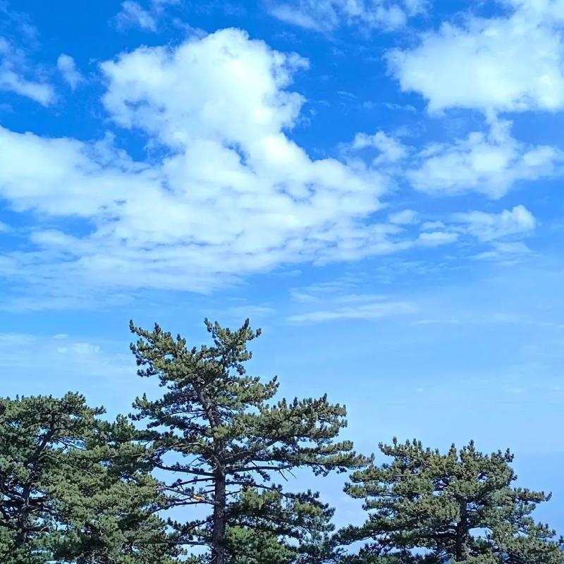 万地直播号