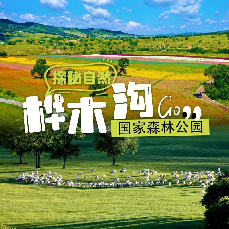 桦木沟国家森林公园